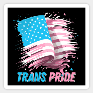 Transgender USA Vintage-Look Flag Design Sticker